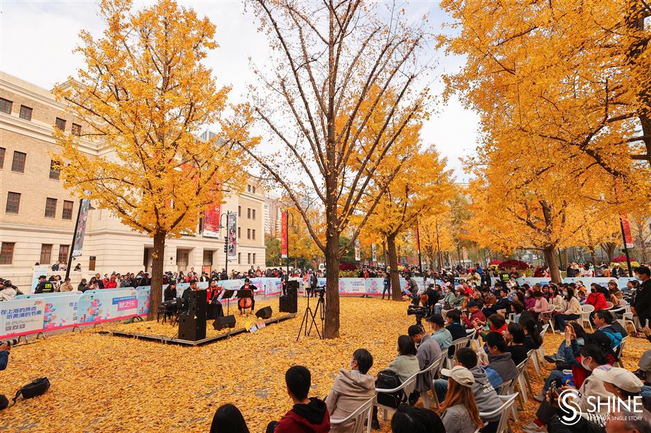 musical feast held under the ginkgo trees