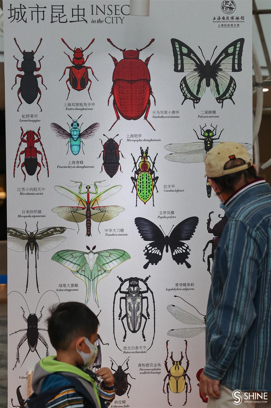 conservation festival will leave you bug eyed