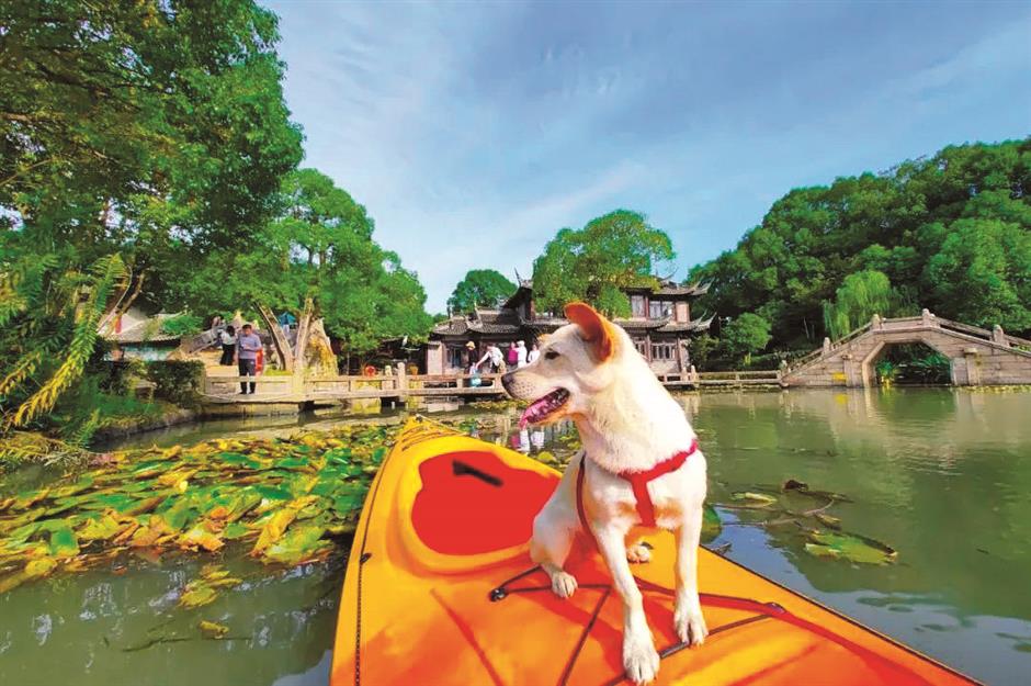 explore this winter season for orange harvest and visit vintage garden with your pets