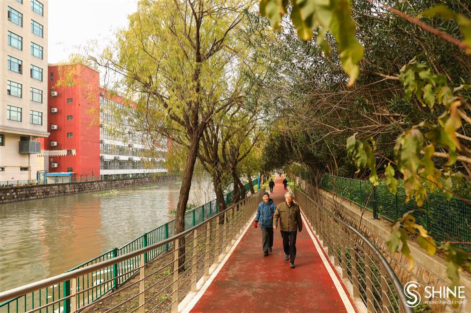 new greenways bring nature to shanghai residents