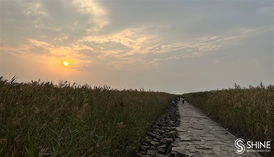 chongming: five things to do on the island