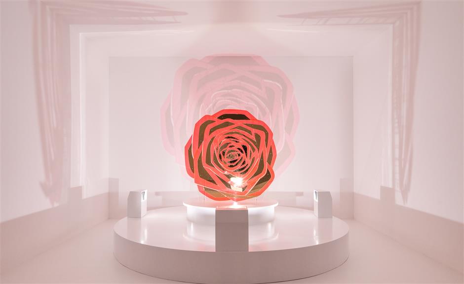 special rose inspires 'perpetual, beyond time' exhibition