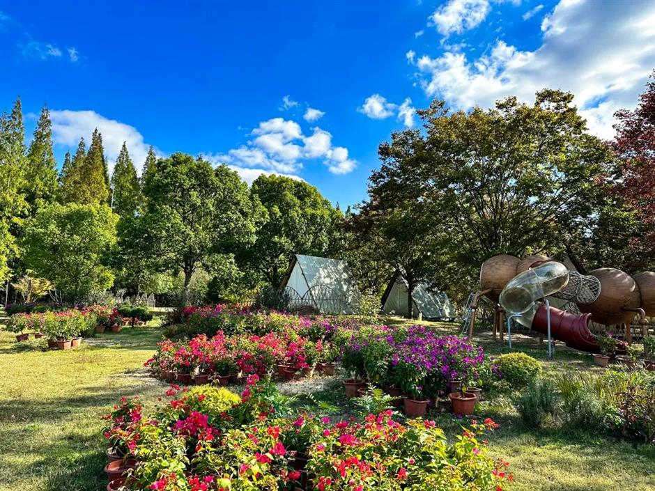 enjoy the glorious autumn in parks across the city